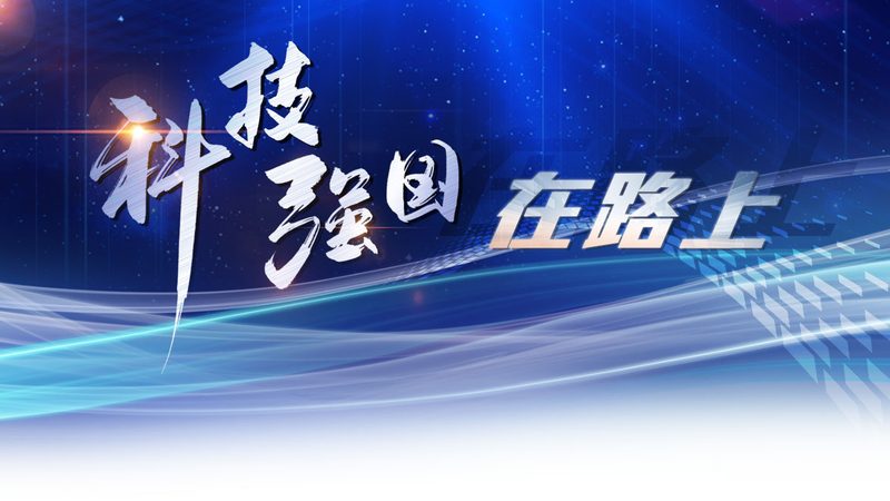 数据分析师必备技能：从数据解读到策略制定