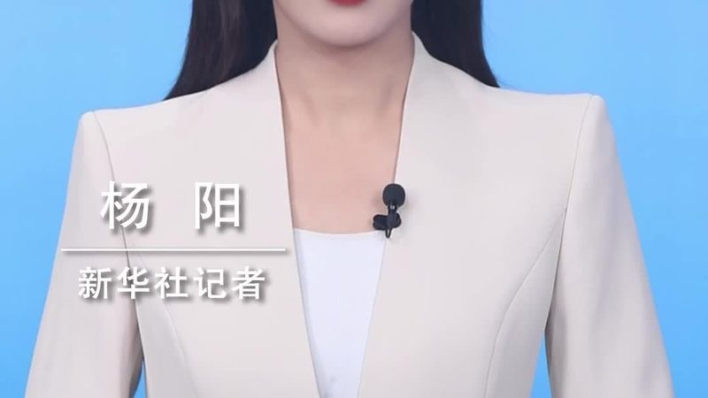 数据中台性能优化：揭秘高效数据处理的秘诀
